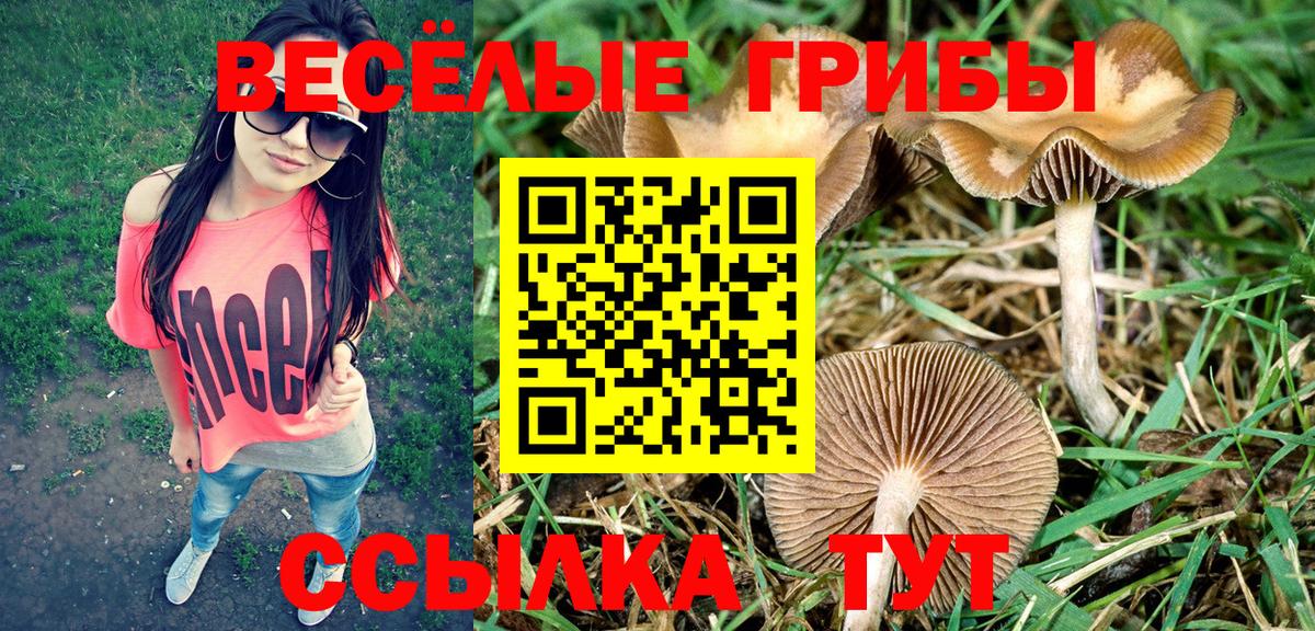Галлюциногенные грибы мицелий  Галлюциногенные грибы Magic Shrooms  Новошахтинск  Вход с VPN 