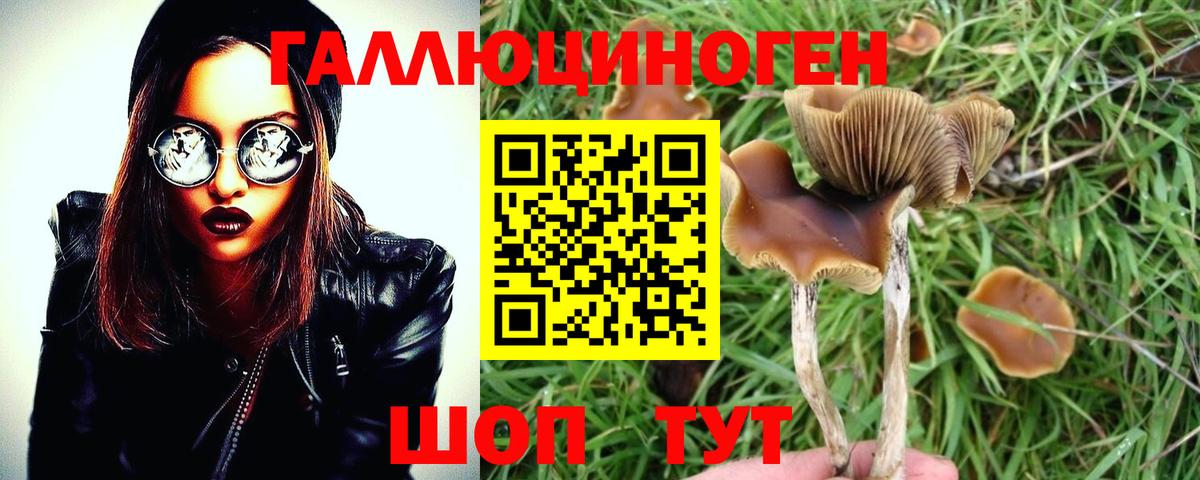 Галлюциногенные грибы прущие грибы Новошахтинск