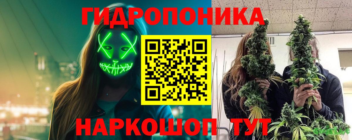 Бошки Шишки сатива Новошахтинск